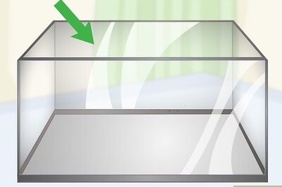 How to Reduce Saltwater Reef Aquarium Maintenance