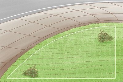 How to Start Guerrilla Gardening