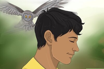 Owl Symbolism: Sightings, Dreams & More