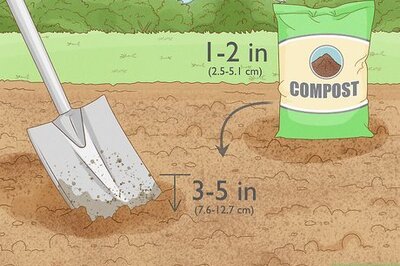 How to Add Phosphorus to Soil