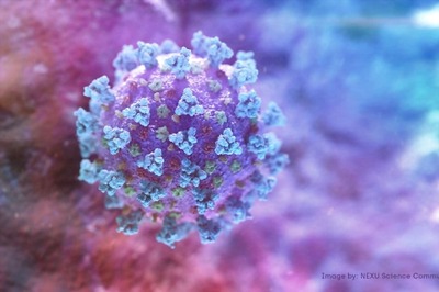 Factbox: Latest on the Spread of Coronavirus Around the World