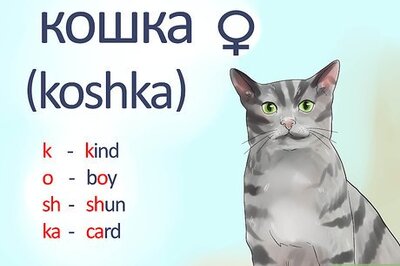 How to Say Cat in Russian