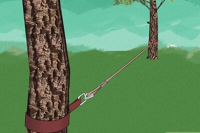 How to Walk a Slackline