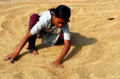 Iranian Traders Halt Signing of New Contracts for Buying Tea, Basmati Rice from India: Report