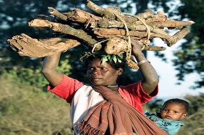 Karnataka Govt Draws Flak After Nude Protest by Tribal Women