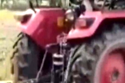 Farmer Destroys His Own Crops To Alert Authorities About Stray Cattle Menace
