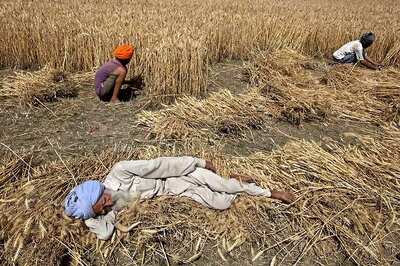 From Riches to Rags: Punjab on Brink of Bankruptcy