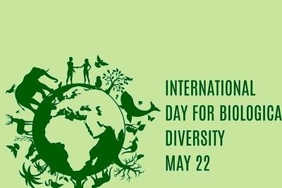 International Day for Biological Diversity 2023: Theme, History, Significance, and Quotes