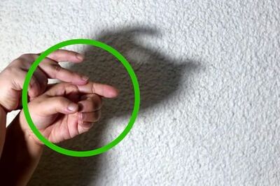 How to Make Shadow Puppets