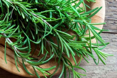 Reducing Stress To Strengthening Hair, 5 Benefits Of Using Rosemary Oil