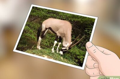 How to Trace a Photograph