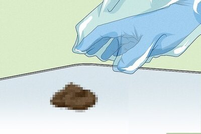 How to Clean Poop Off a Memory Foam Mattress