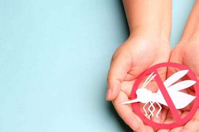 National Dengue Day 2024: Keep Your Child Safe From Dengue This Monsoon