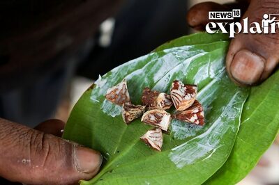 PM Modi Says 'Supari Given to Dent Image': How Did the Word for Betel Nut Get its Current Context?