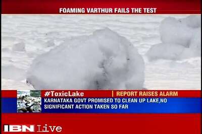 Bengaluru's Varthur Lake fails the quality test; high residue of heavy metal, oil and grease found in water