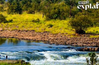 Ken-Betwa Link Project to Get Green Light: Why it is Significant & What is Govt's River Linking Plan
