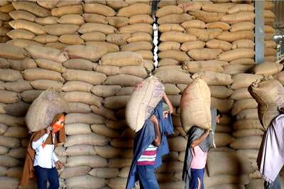 FCI Stops Wheat Auction Under OMSS for Now as Procurement of Fresh Crop Begins Next Month