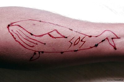 Blue Whale Challenge a National Problem, TV Channels Should Air Warnings: Supreme Court