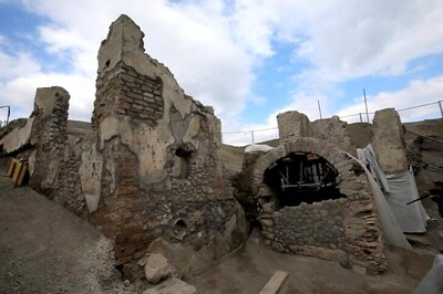 Mount Vesuvius Blast Turned Ancient Victim's Brain to Glass