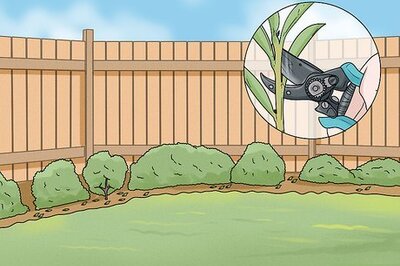 How to Remove Mildew and Algae from a Wooden Fence