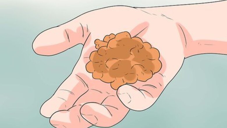 How to Teach a Dog to Crawl