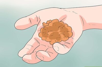 How to Teach a Dog to Crawl