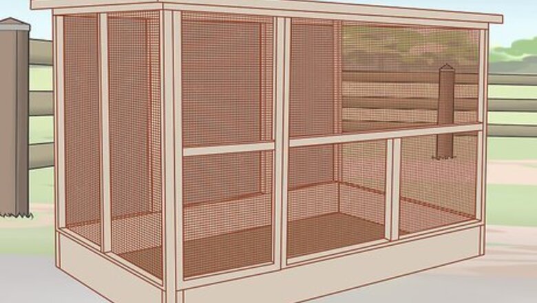 How to Move Ferrets Outdoors