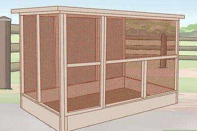 How to Move Ferrets Outdoors