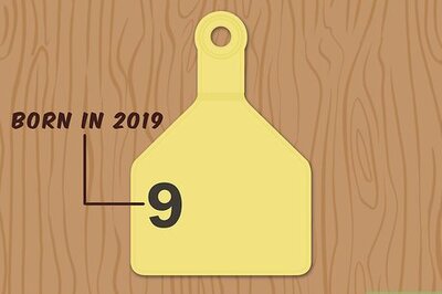 How to Write Cattle Ear Tags