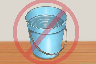 How to Protect Your Pets from Summertime Pests