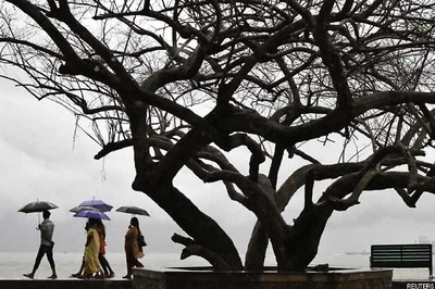 India to Have Normal Monsoon This Year, Predicts IMD