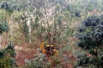 Locals Stage Protest Against Karnataka Govt Over Construction of Tree Park Inside Turahalli Forest
