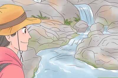 How to Survive in the Wild