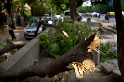Dust Storm Claims 15 Lives in Uttar Pradesh