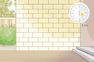 How to Grow Vegetables Vertically