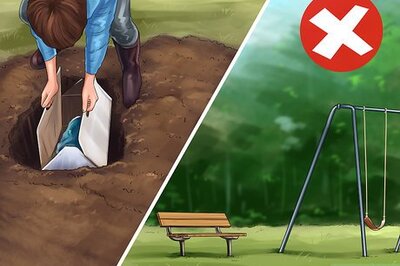 How to Handle Your Dog's Remains
