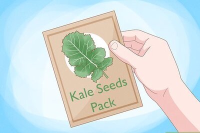 How to Start a Hydroponic Garden