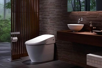 Now, a smartphone-controlled toilet launched; features hands-free flushing, speakers and more