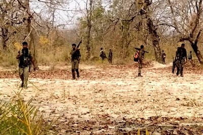 Naxal Killed in Encounter with Police in Dantewada, Pistols, IED Explosives Recovered