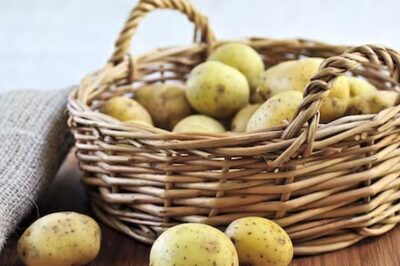 Headache To Dizziness, 5 Potential Side Effects Of Eating Green Potatoes