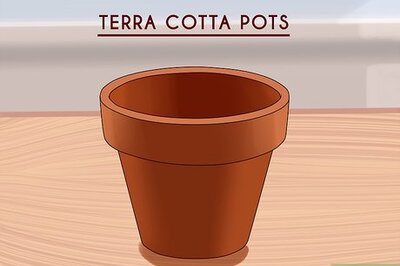 How to Design a Container Garden