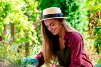If You Are Into Gardening Here Are A Few Terms That You Should Be Knowing By Heart