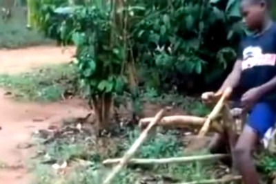 Watch: Kid's Makeshift Bulldozer Impresses Internet, They Want To Sponsor His Education