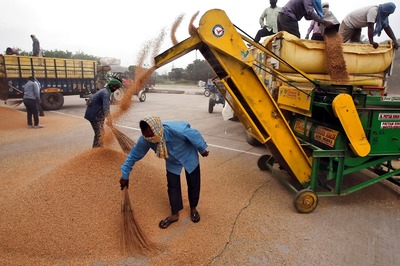 As Part of New Food Plan, India to Feed Millions in 4 Nations; Move to Push Diplomatic Outreach