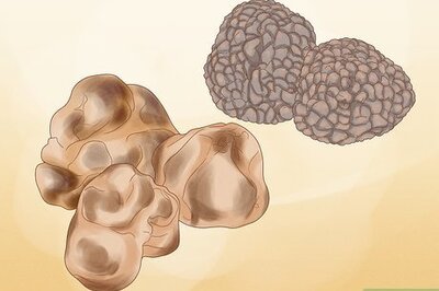 How to Grow Truffles