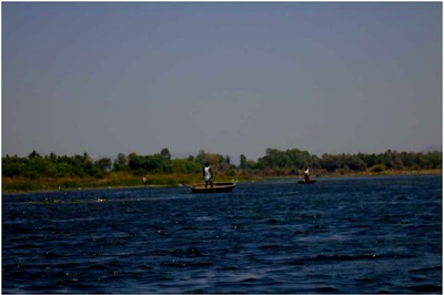 Karnataka Objects to Tamil Nadu's Surplus Cauvery Water Claim, Decides to Fight Legally