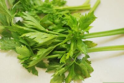 How to Use Celery