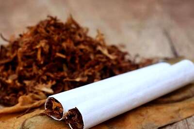 Banned Gutka, Tobacco Products Worth Rs 7.39 Lakh Seized in Navi Mumbai; 1 Held