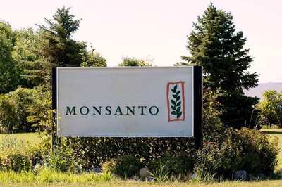 In 'Historic' Verdict, Monsanto Ordered to Pay $2 Billion to Couple in Cancer Lawsuit Trial