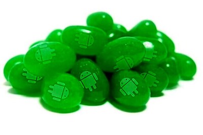 Asus VP confirms Jelly Bean is next Android OS